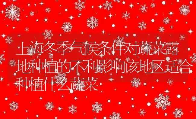 上海冬季气候条件对蔬菜露地种植的不利影响该地区适合种植什么蔬菜 | 养殖资讯