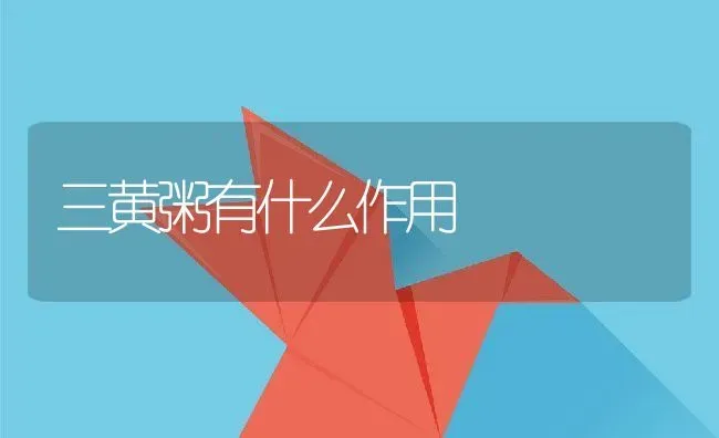 三黄粥有什么作用 | 养殖资料投稿