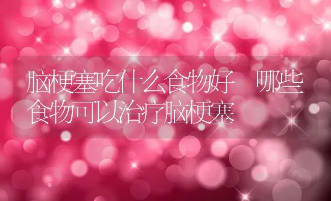 脑梗塞吃什么食物好 哪些食物可以治疗脑梗塞 | 养殖资料投稿