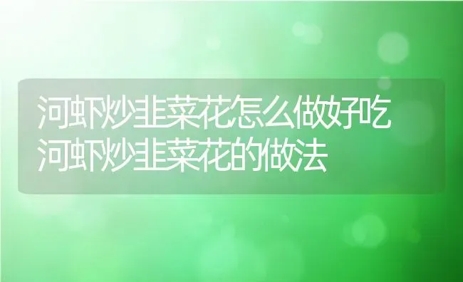 河虾炒韭菜花怎么做好吃 河虾炒韭菜花的做法 | 养殖资料投稿