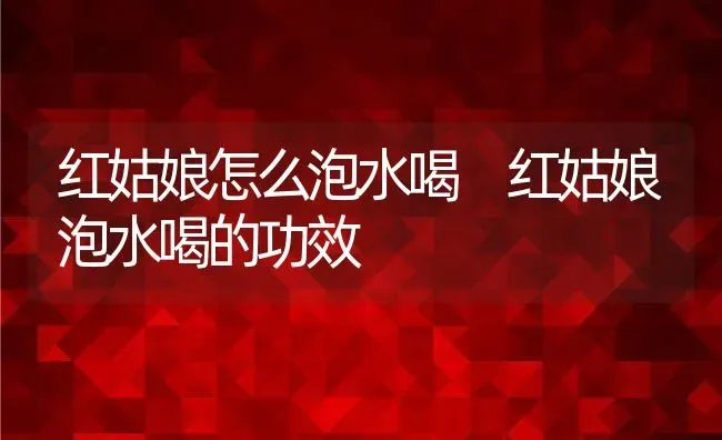 红姑娘怎么泡水喝 红姑娘泡水喝的功效 | 养殖资料投稿