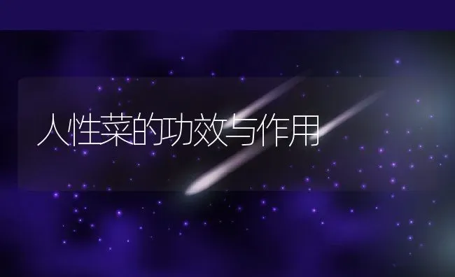 人性菜的功效与作用 | 养殖资料投稿