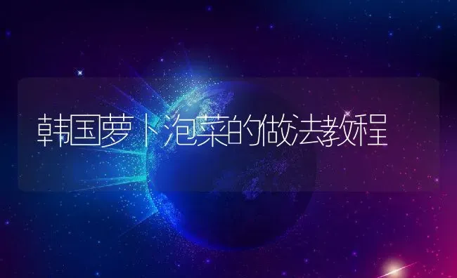 韩国萝卜泡菜的做法教程 | 养殖资料投稿