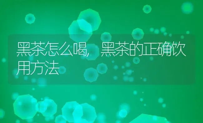 黑茶怎么喝,黑茶的正确饮用方法 | 养殖资料投稿