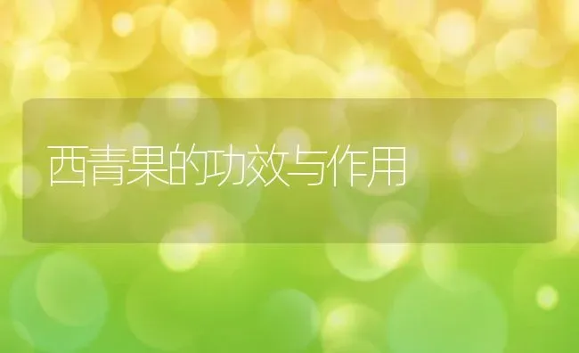 西青果的功效与作用 | 养殖资料投稿
