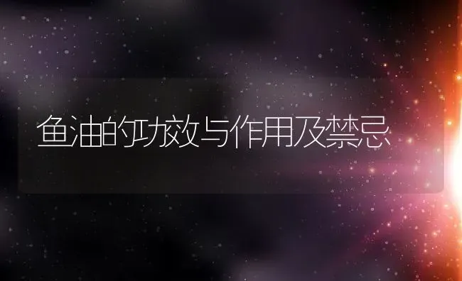 鱼油的功效与作用及禁忌 | 养殖资料投稿