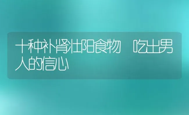 十种补肾壮阳食物 吃出男人的信心 | 养殖资料投稿