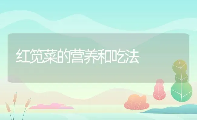 红笕菜的营养和吃法 | 养殖资料投稿