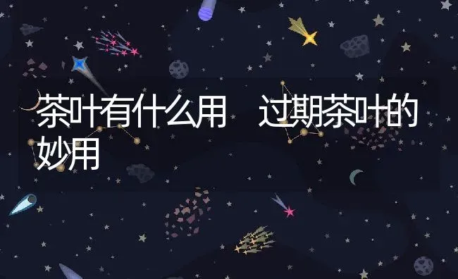 茶叶有什么用 过期茶叶的妙用 | 养殖资料投稿