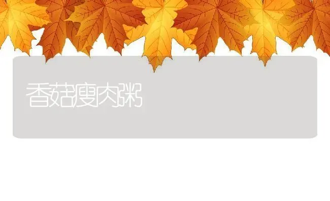 香菇瘦肉粥 | 养殖资讯