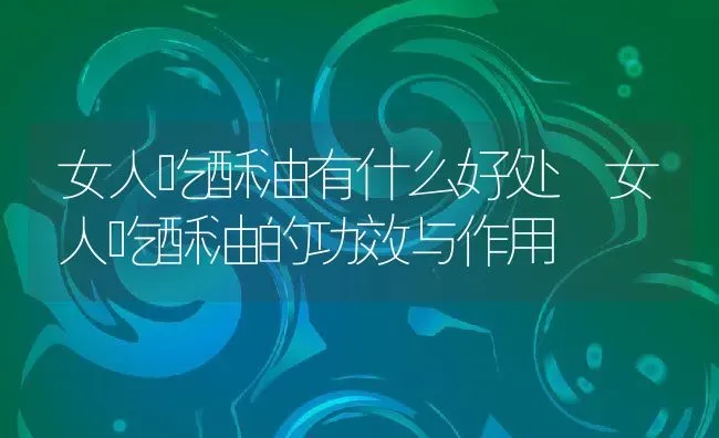 女人吃酥油有什么好处 女人吃酥油的功效与作用 | 养殖资料投稿