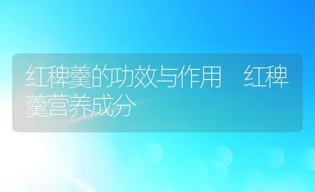 红稗羹的功效与作用 红稗羹营养成分 | 养殖资讯