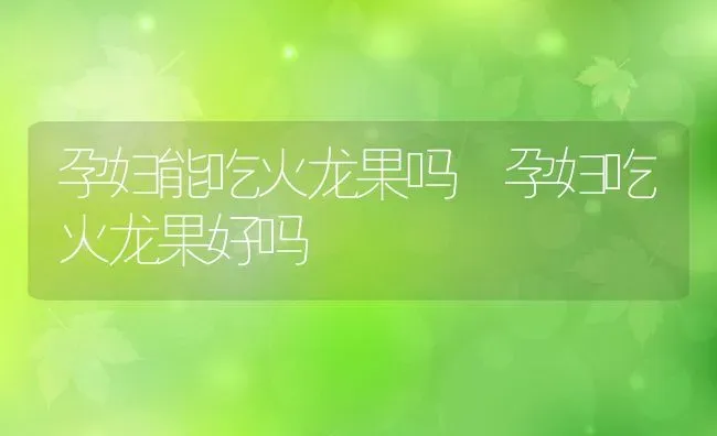 孕妇能吃火龙果吗 孕妇吃火龙果好吗 | 养殖资料投稿