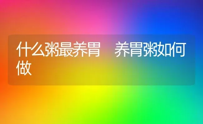 什么粥最养胃 养胃粥如何做 | 养殖资讯