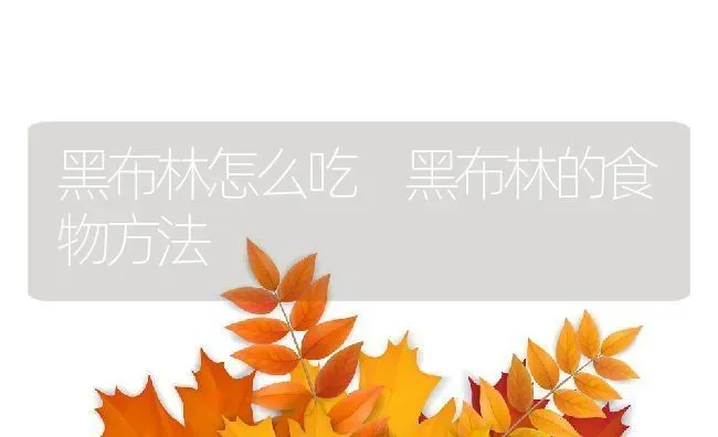 黑布林怎么吃 黑布林的食物方法 | 养殖资料投稿