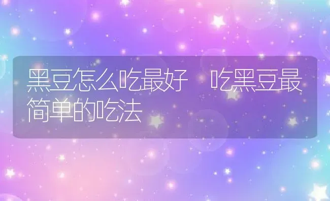黑豆怎么吃最好 吃黑豆最简单的吃法 | 养殖资料投稿