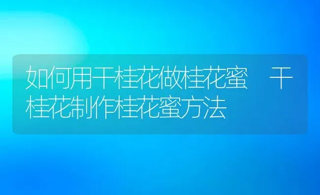 如何用干桂花做桂花蜜 干桂花制作桂花蜜方法 | 养殖资料投稿