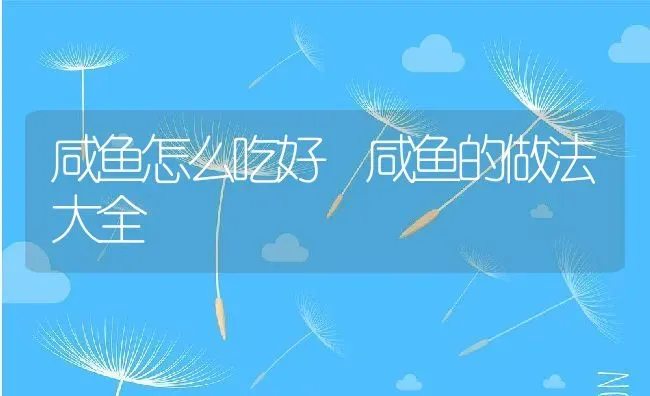 咸鱼怎么吃好 咸鱼的做法大全 | 养殖资料投稿