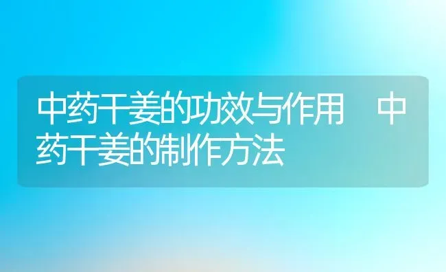 中药干姜的功效与作用 中药干姜的制作方法 | 养殖资料投稿