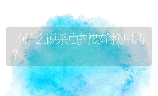 为什么说杀虫剂要轮换用药？ | 养殖资料投稿
