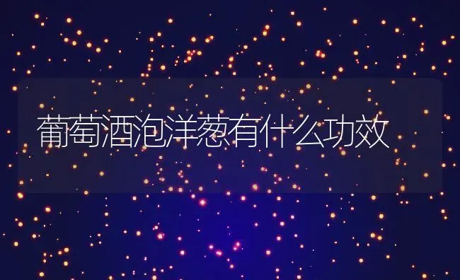 葡萄酒泡洋葱有什么功效 | 养殖资料投稿