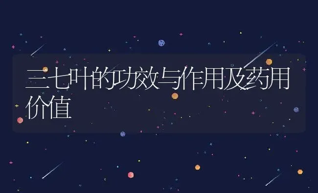 三七叶的功效与作用及药用价值 | 养殖资料投稿