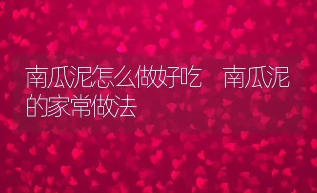 南瓜泥怎么做好吃 南瓜泥的家常做法 | 养殖资料投稿