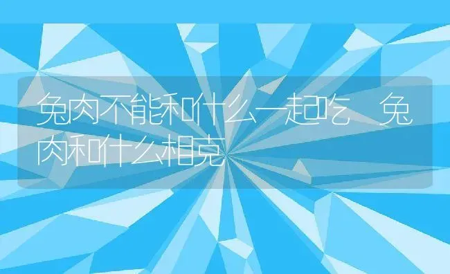 兔肉不能和什么一起吃 兔肉和什么相克 | 养殖资料投稿