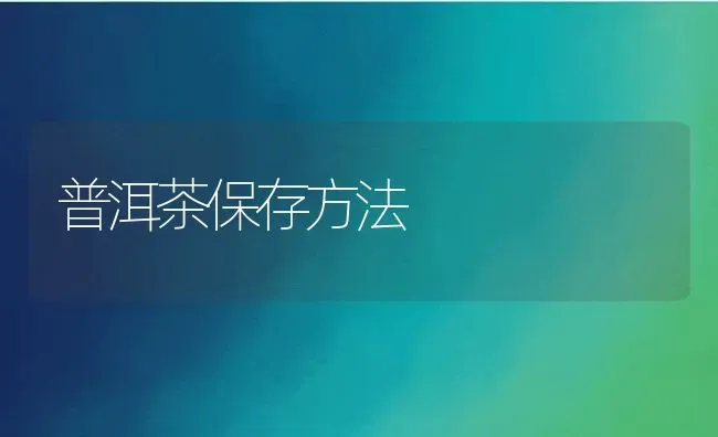 普洱茶保存方法 | 养殖资料投稿