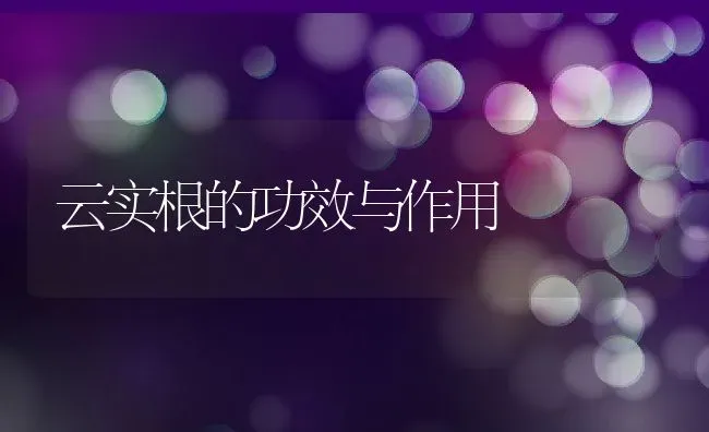 云实根的功效与作用 | 养殖资料投稿