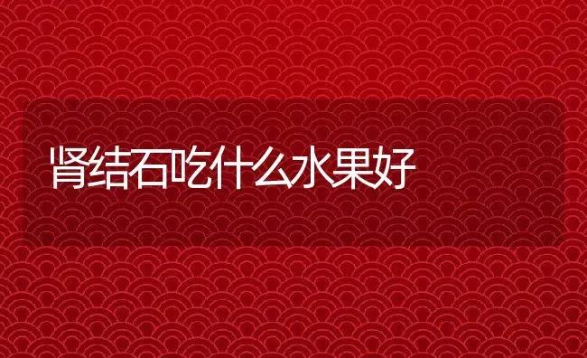 肾结石吃什么水果好 | 养殖资料投稿