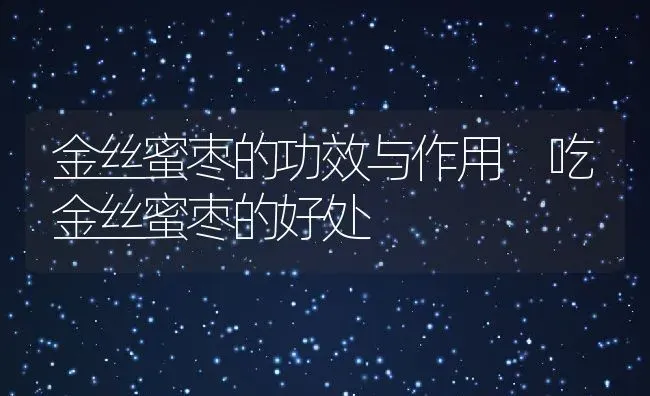 金丝蜜枣的功效与作用 吃金丝蜜枣的好处 | 养殖资料投稿
