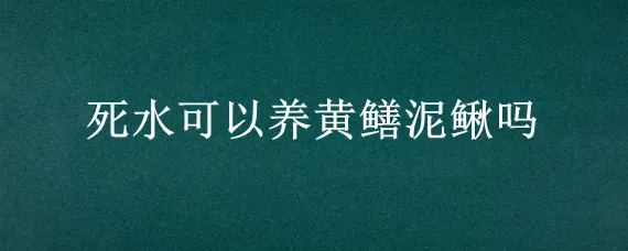 死水可以养黄鳝泥鳅吗