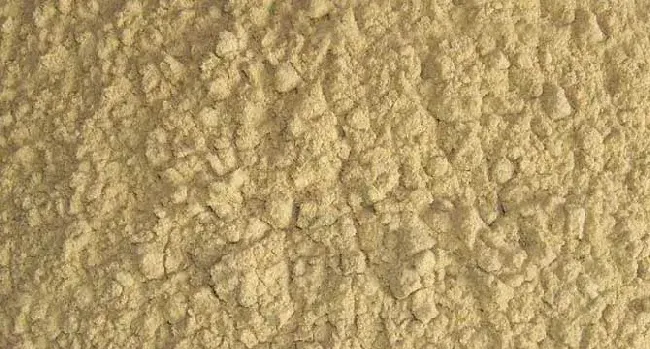 菊花粉的副作用有哪些
