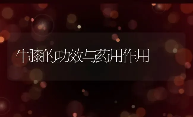 牛膝的功效与药用作用 | 养殖资料投稿