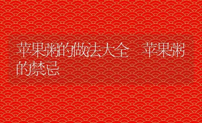 苹果粥的做法大全 苹果粥的禁忌 | 养殖资讯