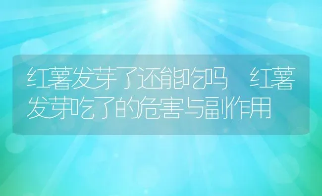 黑枸杞的功效与作用及食用禁忌 | 养殖资料投稿