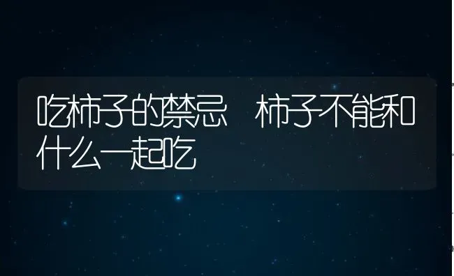 吃柿子的禁忌 柿子不能和什么一起吃 | 养殖资料投稿