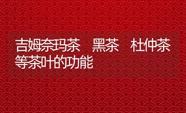 吉姆奈玛茶 黑茶 杜仲茶等茶叶的功能 | 养殖资料投稿