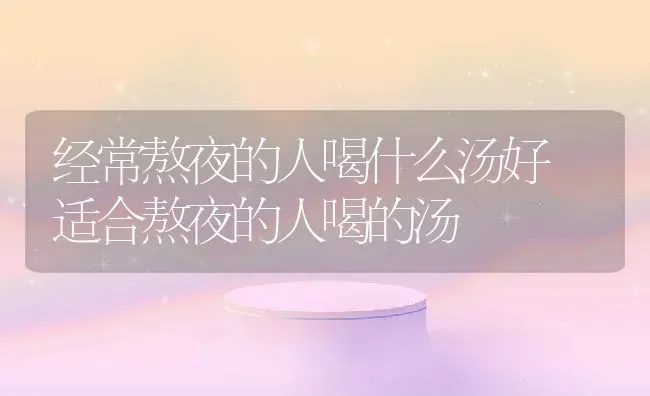 经常熬夜的人喝什么汤好 适合熬夜的人喝的汤 | 养殖资讯