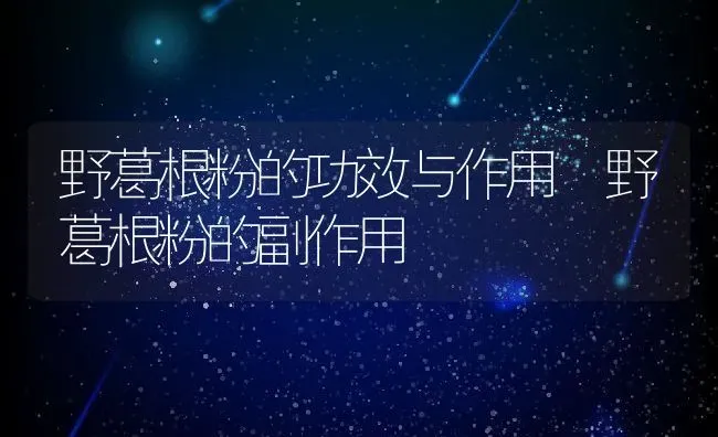 野葛根粉的功效与作用 野葛根粉的副作用 | 养殖资料投稿