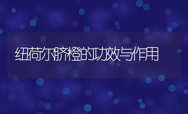 纽荷尔脐橙的功效与作用 | 养殖资料投稿