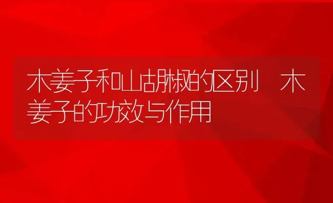 木姜子和山胡椒的区别 木姜子的功效与作用 | 养殖资料投稿