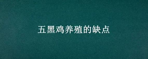 五黑鸡养殖的缺点