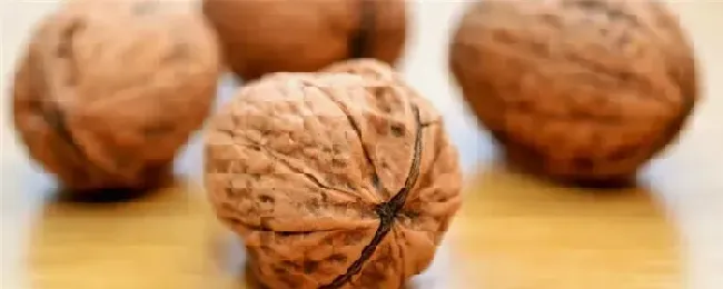 核桃是种子还是果实