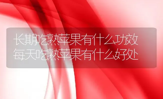 长期吃熟苹果有什么功效 每天吃熟苹果有什么好处 | 养殖资料投稿