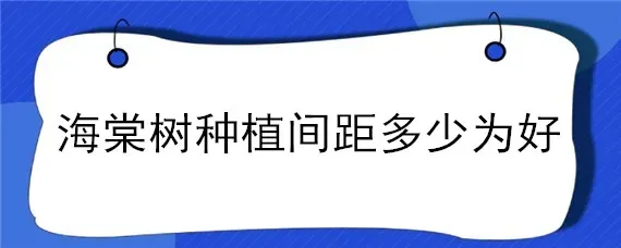 海棠树种植间距多少为好