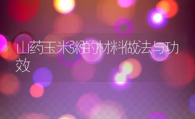 山药玉米粥的材料做法与功效 | 养殖资讯
