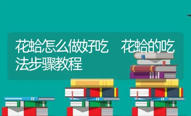 花蛤怎么做好吃 花蛤的吃法步骤教程 | 养殖资料投稿