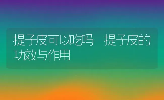 提子皮可以吃吗 提子皮的功效与作用 | 养殖资料投稿